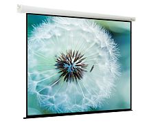Экран ViewScreen Breston 406x305 Matte White