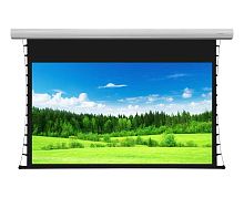 Экран Lumien Cinema Tensioned Control 186x317 Matte White Sound (белый)