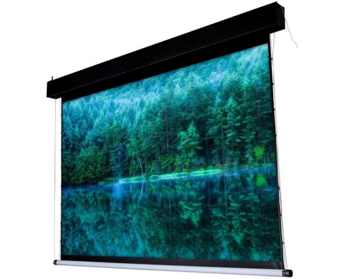 Экран Viewscreen Antis Pro 557x439 Soft MW фото 2