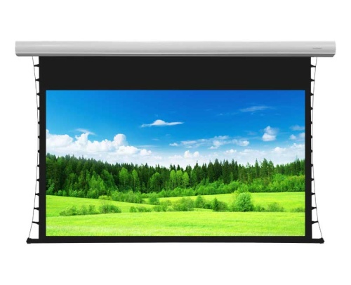 Экран Lumien Cinema Tensioned Control 186x317 Matte White (белый)