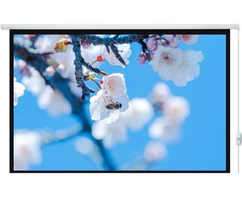 Экран Lumien Eco Control 189x300 Matte White