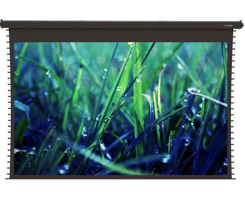 Экран ViewScreen Regal 877x578 PW