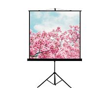 Экран Lumien Eco View 128x171 Matte White