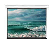 Экран Viewscreen Antis 406x305 Matte White