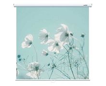Экран Lumien Eco Picture 160x160 Matte White