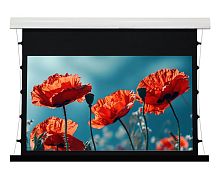 Экран Kauber Red Label Tensioned BT Cinema 141x250 Clear Vision