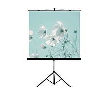 Экран Lumien Eco View 180x180 Matte White