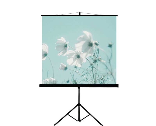Экран Lumien Eco View 180x180 Matte White