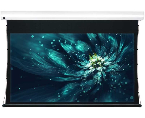 Экран Viewscreen Premium 203x114 WW5
