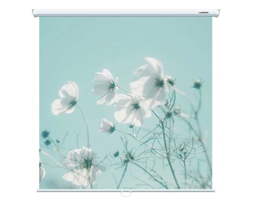 Экран Lumien Eco Picture 160x160 Matte White
