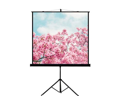 Экран Lumien Eco View 110x192 Matte White