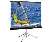 Экран Draper Diplomat/R 141х244 Matte White