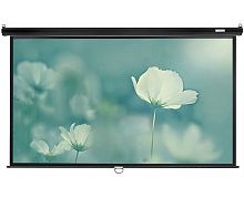 Экран Lumien Eco Picture 137x192 Matte White, черный