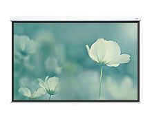 Экран Lumien Eco Picture 161x280 Matte White