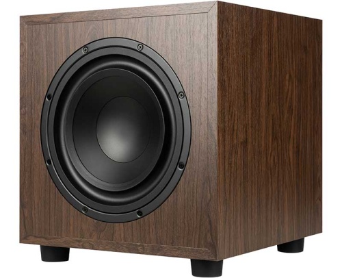 Сабвуфер Phaze Audio Tilia SUB 10", дуб фото 2