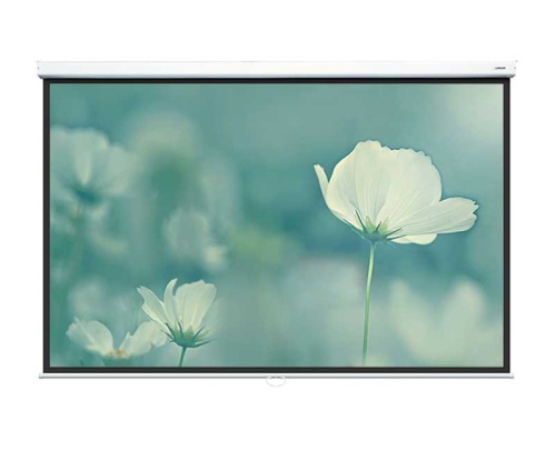 Экран Lumien Eco Picture 182x271 Matte White