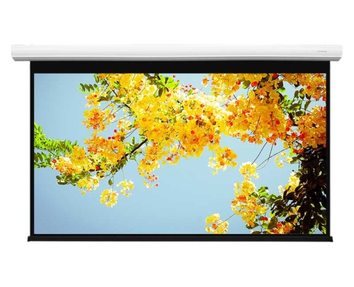 Экран Lumien Master Business Control 246x394 Matte White FiberGlass