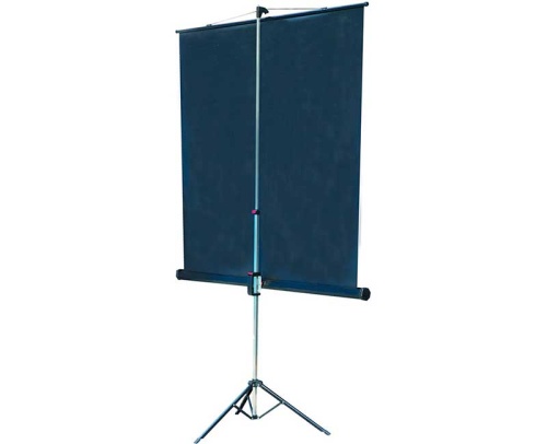 Экран Lumien Master View 220x220 Matte White FiberGlass фото 2