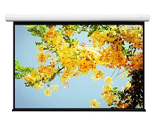 Экран Lumien Master Business Control 249x333 Matte White FiberGlass