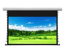 Экран Lumien Cinema Tensioned Control 184x286 Matte White (белый)