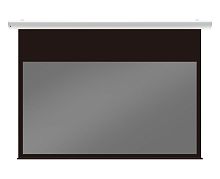 Экран Lumien Radiance Control 192x271