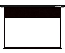 Экран Digis Ellipse 220x240 Matte White, черный