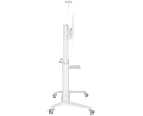 Стойка Digis DSM-P7106C фото 2