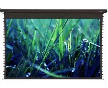 Экран ViewScreen Regal 877x578 PW