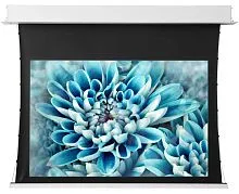 Экран ViewScreen Annex 280x175 WW5