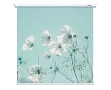 Экран Lumien Eco Picture 160x160 Matte White