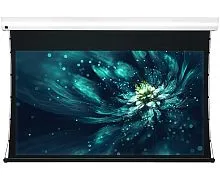 Экран Viewscreen Premium 203x114 WW5