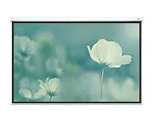 Экран Lumien Eco Picture 137x192 Matte White