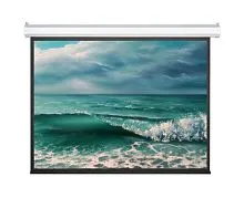 Экран Viewscreen Antis 458x343 Matte White