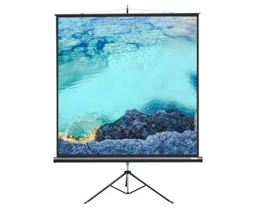 Экран Lumien Master View 153x153 Matte White FiberGlass